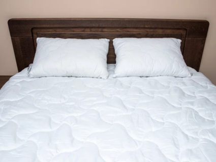 Подушка Nature’S-Natura Sanat Бархатный Бамбук 70х70